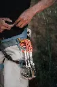Harness_5_lifestyle.webp