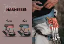 Harness_5.webp